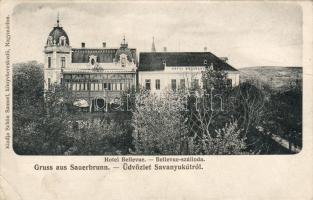 Savanyukút Hotel (EB)