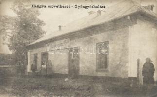 Gyöngyöshalász Hangya photo