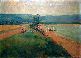 Zórád Géza (1896-1959): Tóparton, olaj, vászon, jelzett, 40x50cm, sérült