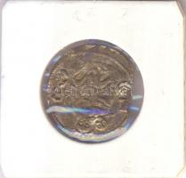 152?L-B Denár Ag "II. Lajos" (0.52g) T:2-
Huszár 846., Unger I 675.a)