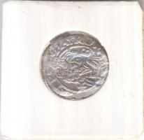 1546K-B Denár Ag "I. Ferdinánd" (0,40g) T:2- 
Huszár 935., Unger II 745.a)