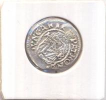 1548K-B Denár Ag "I. Ferdinánd" (0,53g) T:2 
Huszár 935., Unger II 745.a)