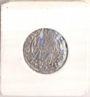 1558K-B Denár Ag "I. Ferdinánd" (0,43g) T:2
Huszár 935., Unger II 745.a)