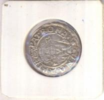 1560K-B Denár Ag "I. Ferdinánd" (0,35g) T:2/2-
Huszár 936., Unger II 748.a)