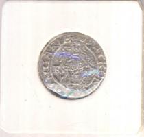 1563K-B Denár Ag "I. Ferdinánd" (0,43g) T:2
Huszár 936., Unger II 748.a)