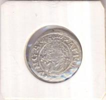 1566K-B Denár Ag "Miksa" (0,45g) T:2/2-
Huszár 992., Unger II 766.a)