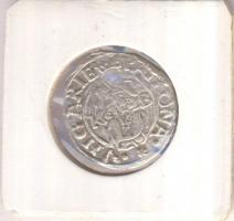 1570K-B Denár Ag "Miksa" (0,43g) T:2/2- 
Huszár 992., Unger II 766.a)
