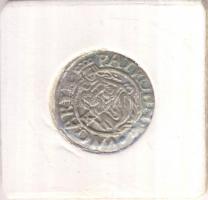 1579K-B Denár Ag "Rudolf" (0,41g) T:2 
Huszár 1058., Unger II 810.a)