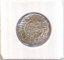 1580K-B Denár Ag "Rudolf" (0,49g) T:2/2- Ly.
Huszár 1059., Unger II 811.a)