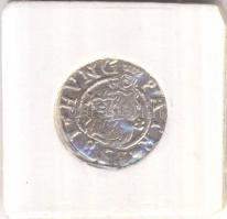 1581K-B Denár Ag "Rudolf" (0,53g) T:2-
Huszár 1059., Unger II 811.a)