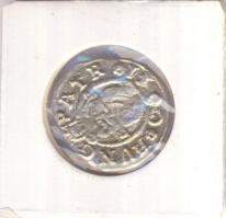 1590K-B Denár Ag "Rudolf" (0,46g) T:2/2- 
Huszár 1059., Unger II 811.a)
