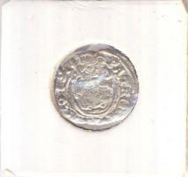 1619K-B Denár Ag "II. Mátyás" (0,35g) T:2-
Huszár 1141., Unger II 870