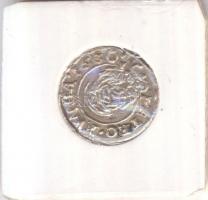 1630K-B Denár Ag "II. Ferdinánd" (0,41g) T:2 Ly.
Huszár 1205., Unger II 916.c)