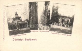 Buziásfürdő spa