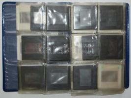 Vöröskeresztes propaganda-diák berakóban és 2db kazetta (az állatról emberre terjedő betegségekről, ...