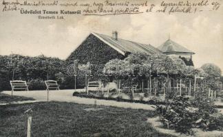 Temeskutas Villa Erzsébet