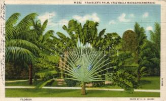 7 db régi, külföldi városképes lap, tengerentúliakkal