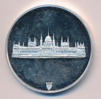 Bozó Gyula (1913-2004) DN. "Magyar Köztársaság Országgyűlése" ezüstözött fém emlékérem (42...