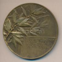 Telcs Ede (1872-1948) 1906. "gr. Andrássy Gyula szoboremlékének felavatása alkalmából" bronz emlékérem (69mm) T:2 / 1903. count Andrassy Gyula Br commemorative medal Sign: Ede Telcs (69mm)