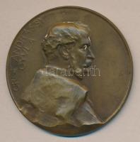 Telcs Ede (1872-1948) 1906. "gr. Andrássy Gyula szoboremlékének felavatása alkalmából" bro...