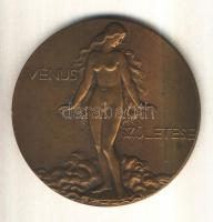 Reményi József (1887-1977) 1927. "Danaidák - Vénusz születése ÉKE." bronz emlékérem (65mm)...
