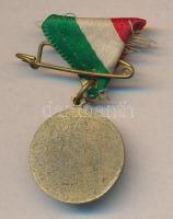 cca 1916 Viribus Unitis Ferenc József - Vilmos császár I. világháborús mini emlékérem nemzetiszín me...