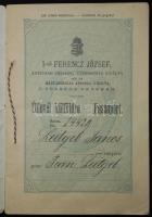 1879 Magyar útlevél egész Európába mészáros és háztulajdonos részére / Hungarian passport