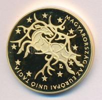 2004. 50.000Ft Au(0.986) "Magyarország az Európai Unió tagja" 13,964g T:PP Csak 7000db! Ta...
