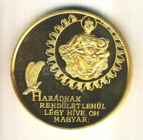 Bognár György (1944-) 1989. "1956-1989 Magyar Köztársaság Emlékérem" aranyozott nagyméretű...