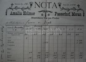 1911 Meran Passerhof hotel számla / invoice