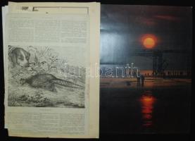 Papírrégiség tétel régi, illetékbélyeggel ellátott okmányokkal, nyomatokkal, fotóval, divatképekkel ...