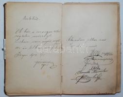 1893 Emklékkönyv rajzokkal, beragasztott virágokkal