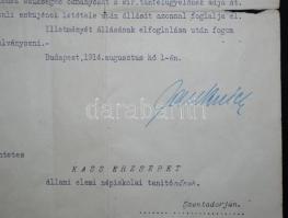 1914 Kinevezés Jankovich Béla vallás és közoktatásügyi miniszter saját kezű aláírásával