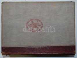 A kémia és vívmányai I-II. Szerk: Dr. Erdey-Grúz Tibor, Dr. Gróh Gyula. (A Természet Világa) Bp., 19...