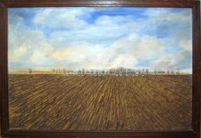 Perédy Tibor: Szántóföld, olaj-gipsz, farost, jelzés nélkül, 67×92 cm