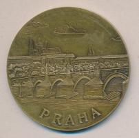 Csehország 1997. "Európai Atlétikai Szövetség SPAR kupa / Prága 1997" Br emlékérem (60mm) ...