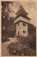 Segesvár lookout tower