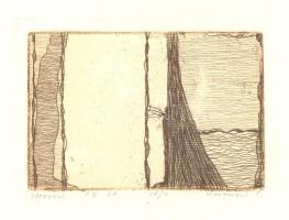 Koronczi Endre (1968-): Hosszú, rézkarc EA, papír, jelzett, 6×9 cm