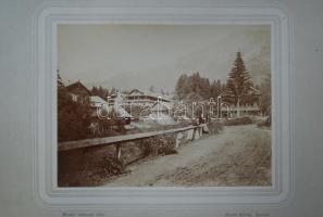 cca 1880 Magas-Tátra: Tátrafüred. Divald Károly (1830-1897) eperjesi műhelyéből, kartonra kasírozva ...