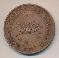 1992. "Magyar Hidrológiai Társaság 1917. Pro Aqua / Jubileumi Közgyűlés - Szeged" Br emlékérem (42.5mm) T:2