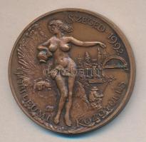 1992. "Magyar Hidrológiai Társaság 1917. Pro Aqua / Jubileumi Közgyűlés - Szeged" Br emlék...