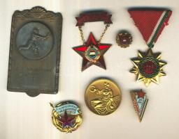 11db különféle kitüntetés és díjérem, többen eredeti tokban, jobb darabok is: "Élelmiszeripar K...