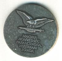 DN "Magyar Honvédség Parancsnoka, vezérkari főnök" fém emlékérem T:BU