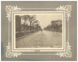 1910 Külvárosi utca Chicagóban. Zsoldos Elek fotója, kartonra kasírozva /  Chicago by Elek Zsoldos, on cardboard, 22x18 cm