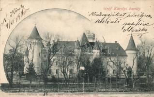 Nagykároly Károlyi castle (Rb)