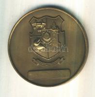 Románia 1978. "Filatéliai Kiállítás Jászvásár / TRANSFILEX" Br emlékérem (59mm) T:2
Romani...