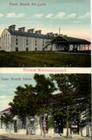 Mosonszentjános Ámon Henrik üzlete, Frank Henrik fiainak gyára