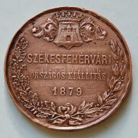 1878. "Székesfehérvári Országos Kiállítás" Br emlékérem (50mm) T:2 k
