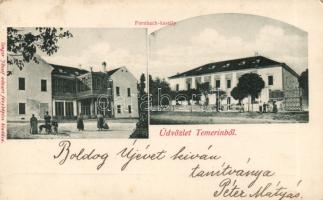 Temerin Fernbach castle (EK)