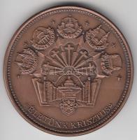 Bozó Gyula (1913-2004) 1991. II. János Pál pápa látogatására" Br emlékérem (42,5mm) T:1